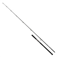 26 SALTIGA C BULLSWING